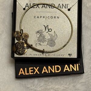 Alex and Ani Gold Capricorn Charm Bracelet